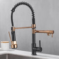 Pull Out Kitchen Faucet with Dual Handle